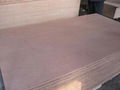 Commercial Plywood 1