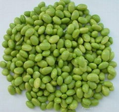 Organic IQF Shelled Edamame ( Soybean/Soya Bean)