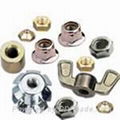 fastener  screw  nut  bolt 3