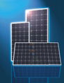 Mono-crystalline solar cell module