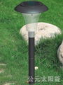 plastic solar lawn light