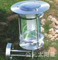 stainless steel solar lawn light 1