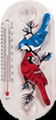 Cartoon Thermometer