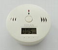 Carbon Monoxide Alarm 2