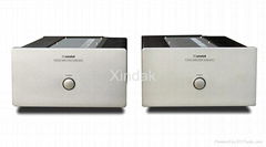 XA8800MNu Mini Mono Power Amplifier