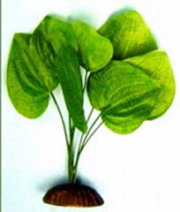 aquarium plants