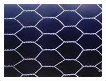 Hexagonal Wire Mesh