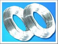 Galvanized Iron Wire