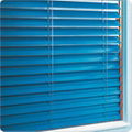 Slat Blinds 1