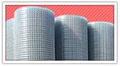 Welded Iron Wire Mesh