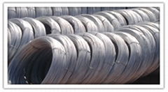 Electro Galvanized Steel Wire