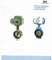 Butterfly Valve 1