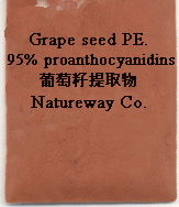 Grape Seed Extract  95%