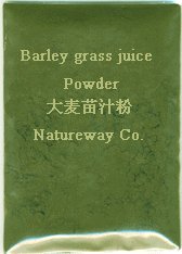 Barley grass juice powder 1