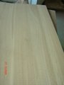 Edge glued and finger-jointed Wood Panel 