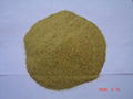 Dephenolized Cottonseed Protein