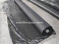 Fiberglass Geogrid 4