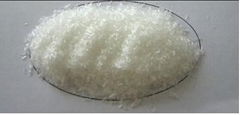 monosodium glutamate