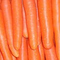 carrot 3