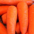 carrot 5