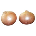 onion 3