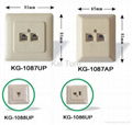 Modular & TAE Wall Socket