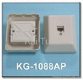 Modular & TAE Wall Socket 4