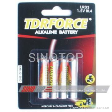 alkaline battery