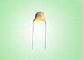 dipped Multilayer ceramic capacitor 1