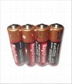 Carbon-Zinc Batteries 1