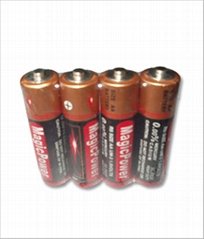 Carbon-Zinc Batteries