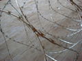 straight razor wire 