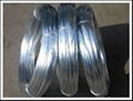 Galvanized Wire