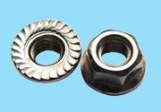 stainless steel hexagon nuts with flange 