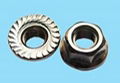 stainless steel hexagon nuts with flange 