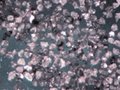 resin bond diamond powder