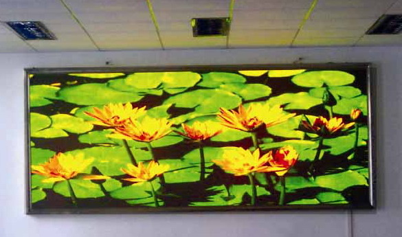 P8 LED Display Indoor 3in1 LED Display With 8mm Pitch 1