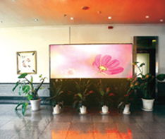 P10 indoor led display led wall led sign