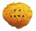 granular corn gluten meal (exports)