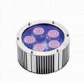 LED underwater light 3