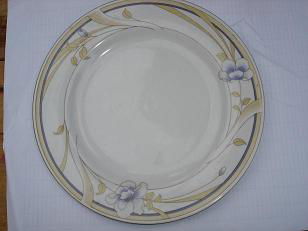 ceramic and porcelain dinnerware