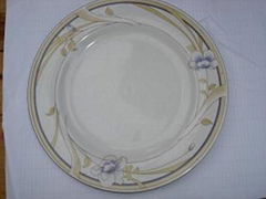 ceramic and porcelain dinnerware