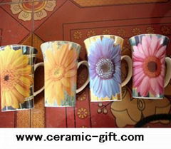 ceramic and porcelain dinnerware