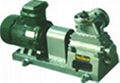 displacement pump 1