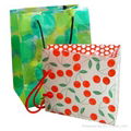 plastic shopping bag  3