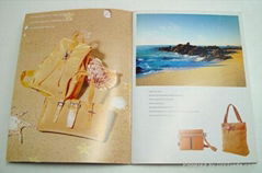 Advertisement Brochure 