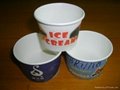 ice cream paper cup