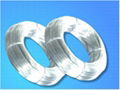 electro galvanized  wire 1