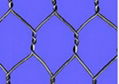  Hexagonal Wire Netting 4