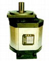 Hydraulic Pump 1